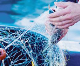 Come diventare pescatori green per formare i futuri operatori