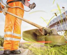 Il Comune dà lavoro a chi non l'ha