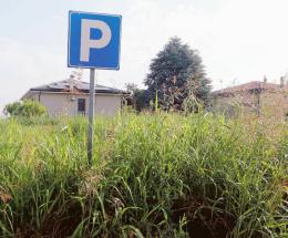 “Assediati dall’erba alta. Da anni”