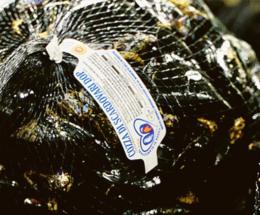 La cozza Dop vola sul mercato