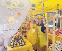 L’aglio polesano conquista le Marche