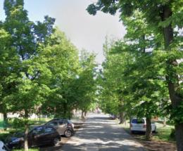Alberi pericolanti, chiuso il viale