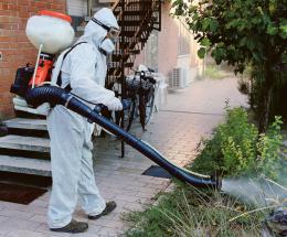 Dengue, rischio contagio azzerato