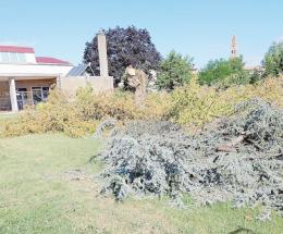 Asilo nido, “sacrificato” il parco