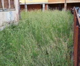 Verde, arrivano i controlli