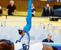 Volteggi equestri da medaglie
