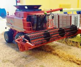 La vita rurale in miniatura 