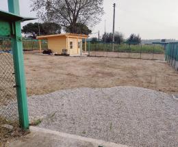 L’oasi felina “vede” il traguardo