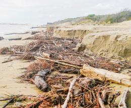 Mangiati 40 centimetri di spiaggia