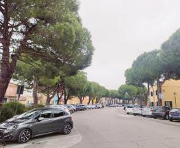L'incontro si farà a pini già tagliati