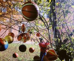 Questi sì che sono alberi con le palle!