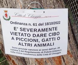 &ldquo;No cibo ai gatti&rdquo;, scatta la polemica