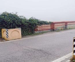 Ponti, soluzione cercasi 