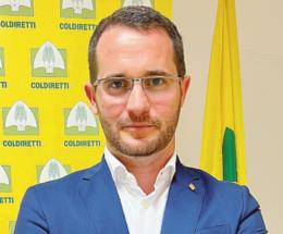 Milleproroghe, le proposte per aiutare l&rsquo;agricoltura