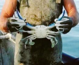 &ldquo;Ecco come lo fermeremo&rdquo;