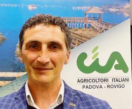 Primario, settore da 700 milioni