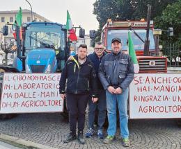 Rombo di due trattori nel centro cittadino