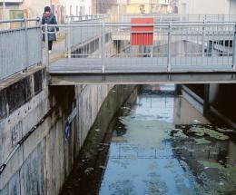 In pochi giorni lo schifo sparirà