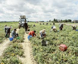 Scatta lo stop ai prodotti del lavoro irregolare