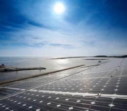 Verso la transizione ecologica