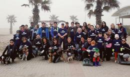 Plastic Free torna sulle spiagge 