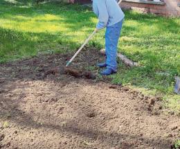 Gli orti urbani sono pronti a fiorire