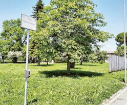 “Green Up” riqualifica il parco