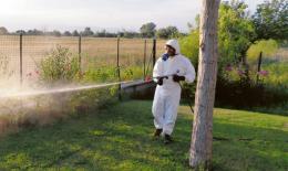 West Nile, encefalite da zecca e dengue: casi in aumento in Veneto