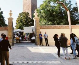 Universitari, i polesani secondi solo ai "gran dottori"