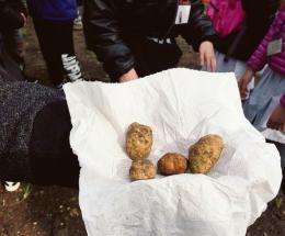 Tartufo, una legge per valorizzarlo