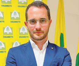 Allarme per il settore della canapa