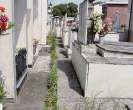 Vandali violano le tombe