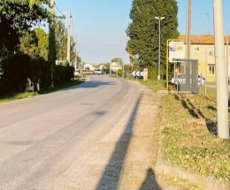Pioppi tagliati, rabbia dei residenti