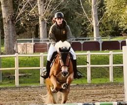 Trecenta diventa patria equestre