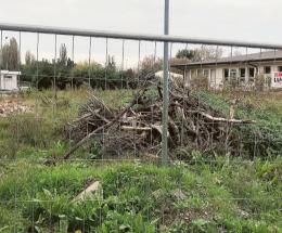 Il nido rischia di essere fantasma
