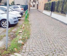 “Salvate quelle pietre superstiti”