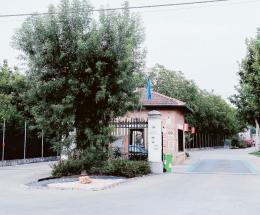 Polaris, Patergnani unico dei Fratelli
