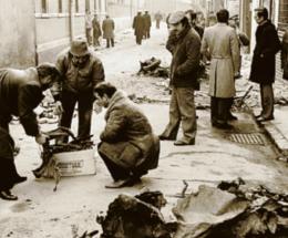 Gli anni di piombo in Polesine