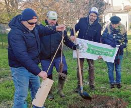 La festa degli alberi con gli alunni 