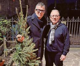 Bobo nelle frazioni con l’albero