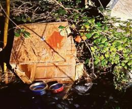 Vandali distruggono i ripari dei gatti 