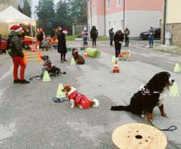 Lo spirito del Natale a quattro zampe