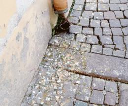 “Sporcizia e carenza di igiene”
