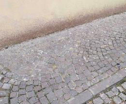 Guano per strada, continua la protesta:  “Ne va di igiene e salute”