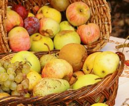 La frutta è decimata, i prezzi record