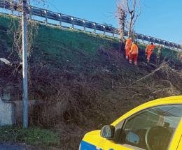 Pulizia e decoro in via Curtatone