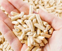 Pellet ed evasione, 10 a giudizio