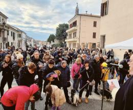 La benedizione degli animali