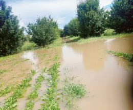 Indennizzi in ritardo e zero contributi