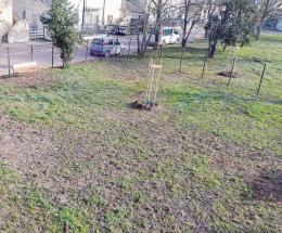Area per cani, Bortolina si ribella
